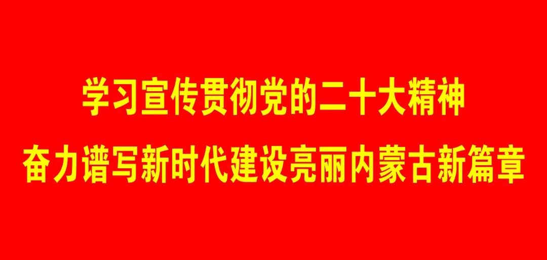 铁西街青松社区开展传统文化教“一小”,粽情端午敬“一老”活动 ...