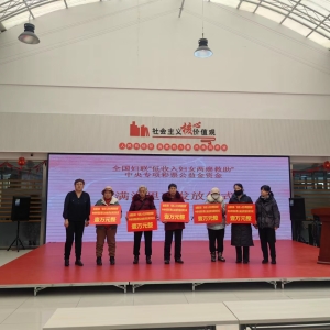 华埠社区参加全国妇联“低收入妇女两癌救助” 中央专项彩票公益金资金发放仪式 ...