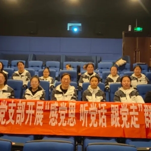 二连浩特市第三幼儿园党支部组织开展主题党日活动